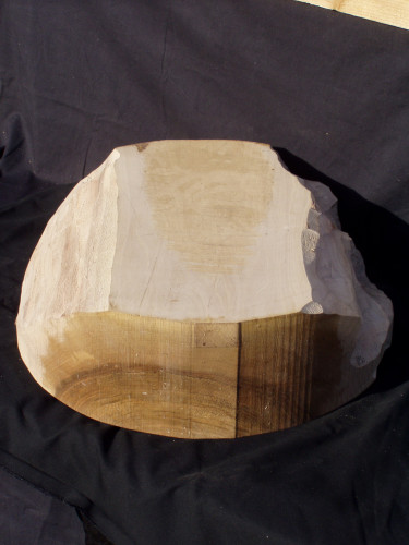 Nussbaum