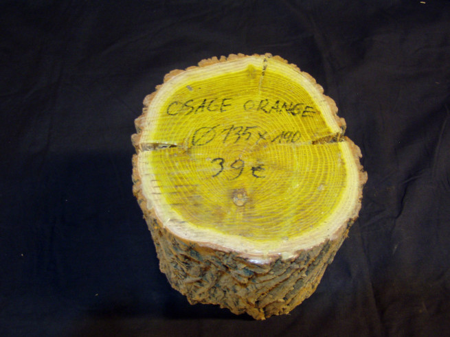 Osage Orange