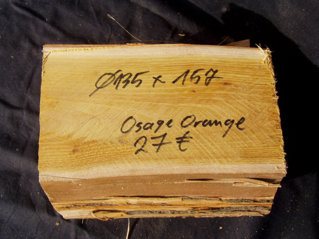 Osage Orange