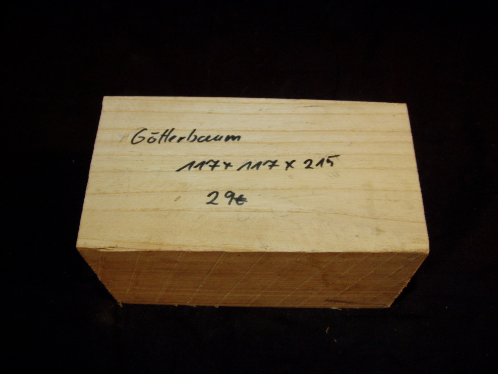 Götterbaum