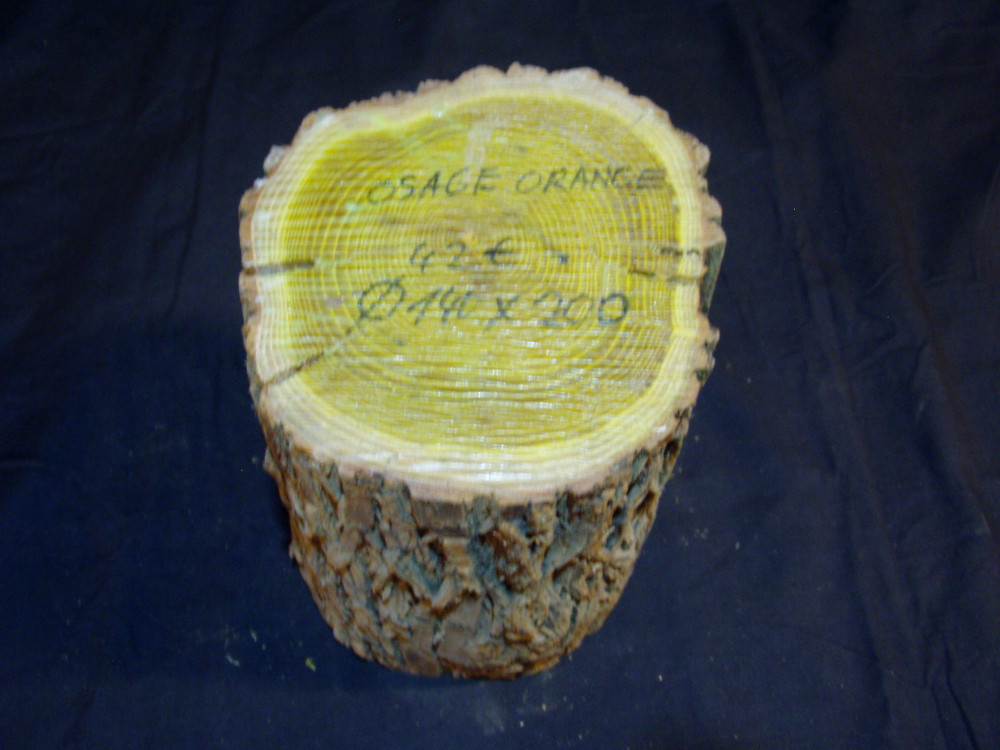 Osage Orange